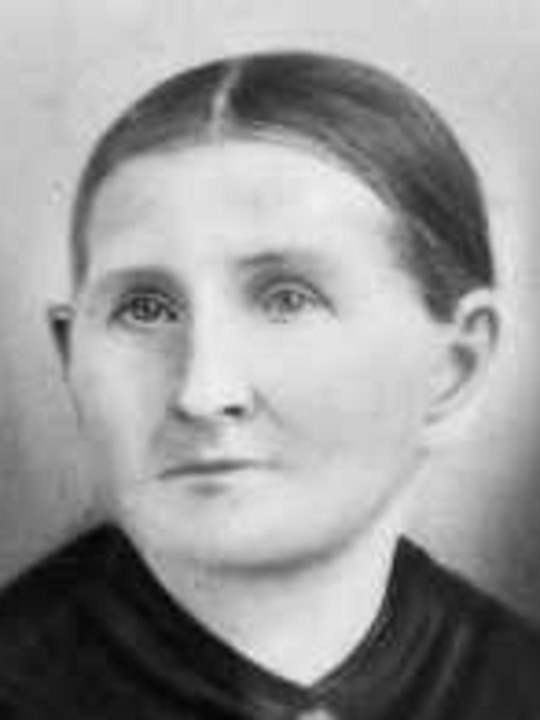 Holly Jane Tingle (1817 - 1893) Profile